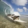 surfingturts