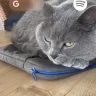 TrulyMad