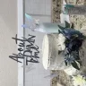 sassypinkunicorn