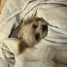 alittlechunky-5