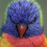 SloopJohnB
