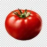 Tomato_Friend