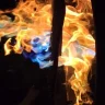 Phoenix Rising