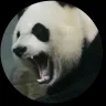 AndyPanda