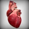 readhearts