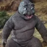 Godzuki