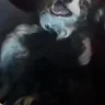 Hollzbollz
