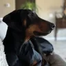 Mamasoypaquito