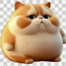 Chubster Aus