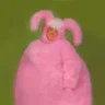 Peppix