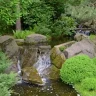 gardenin-lover-43