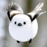 bigbirdlittlebird