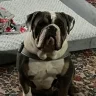 King Sully