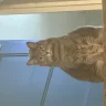 RegulrEvryDayNrmlGuy