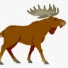 Moose2272