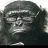 Smartmonkey82
