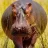 ScienceHippo