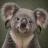 koalab