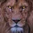 Madlion27