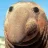 IAmTheWalrus