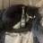 docka