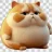 Chubster Aus