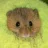 ffanonymouse