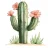 cactus_enthousiast