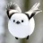 bigbirdlittlebird