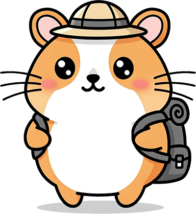 favicon.ico